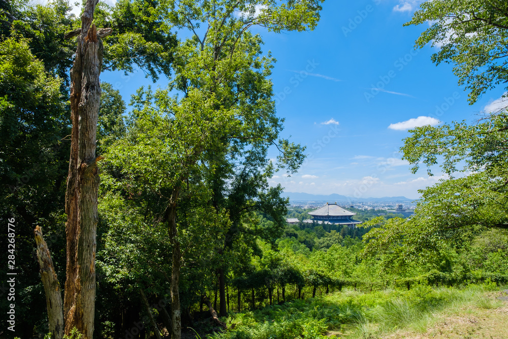 若草山から見た東大寺大仏殿　ビューポイント　夏　2019年8月
