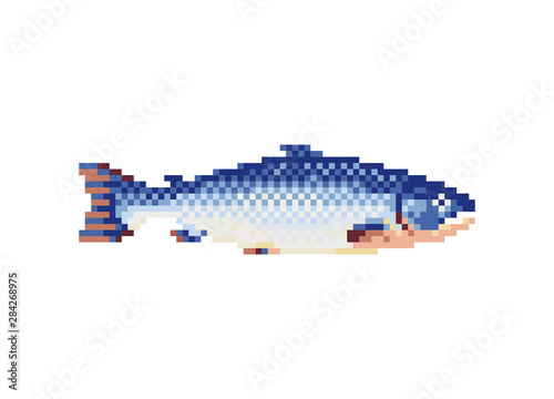 Salmon fish icon. Pixel art flat style. Isolated vector illustration. 8-bit sprite. Design stickers, logo, mobile app.
