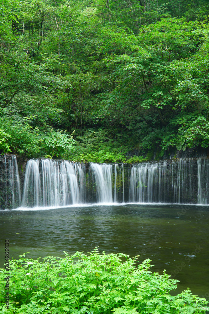 夏の白糸の滝