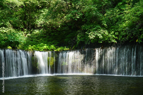 夏の白糸の滝