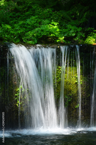 夏の白糸の滝 © sunftaka77