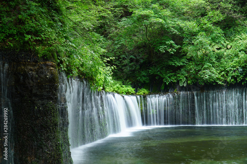 夏の白糸の滝