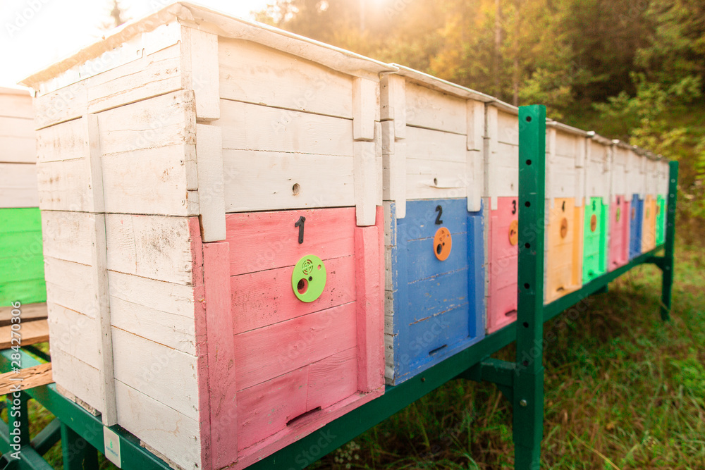 Photo of wooden colored beehives on metallic green stand in the nature. Beekeeping Photo of wooden colored beehives on metallic green stand in the nature. Beekeeping
