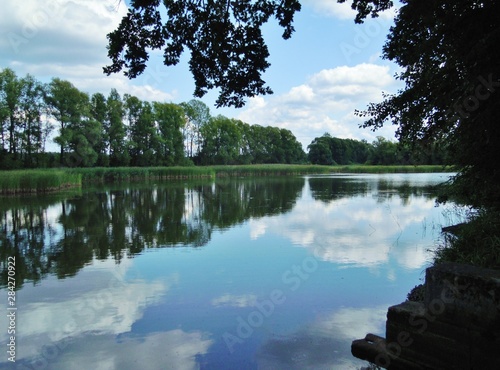 Radroute Seeadlerrundweg in der Oberlausitzer Heide- und Teichlandschaft photo