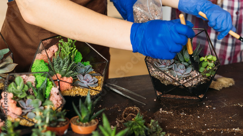 Home gardening master class. Closeup of hands using shovels to pour gravel into glass vases with succulents.