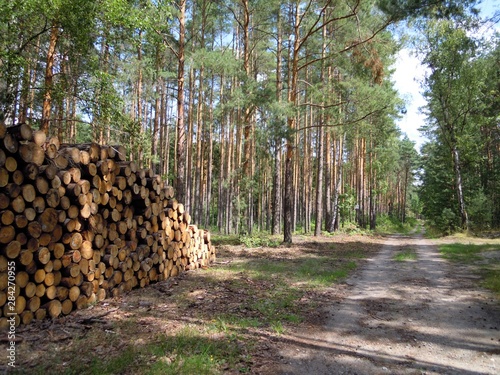 Radroute Seeadlerrundweg in der Oberlausitzer Heide- und Teichlandschaft