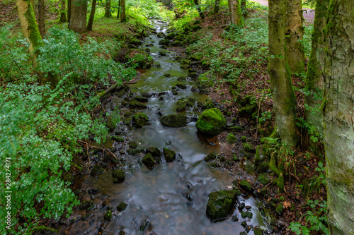 Th  ringer Wald Vessertal Urwald Biosph  renreservat Suhl Vesser Bergbach