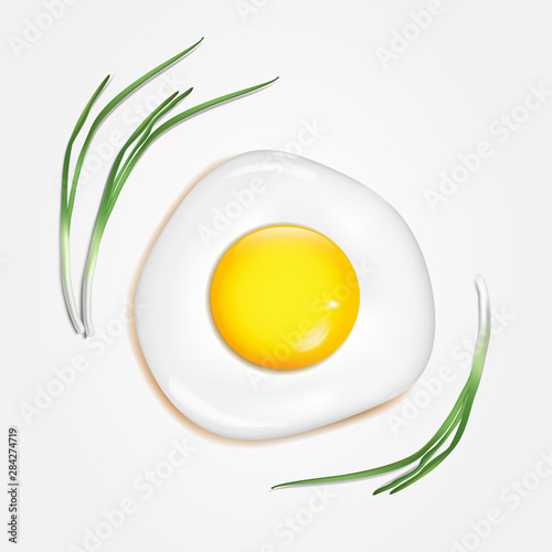 Vector realistic fried egg with green onion
