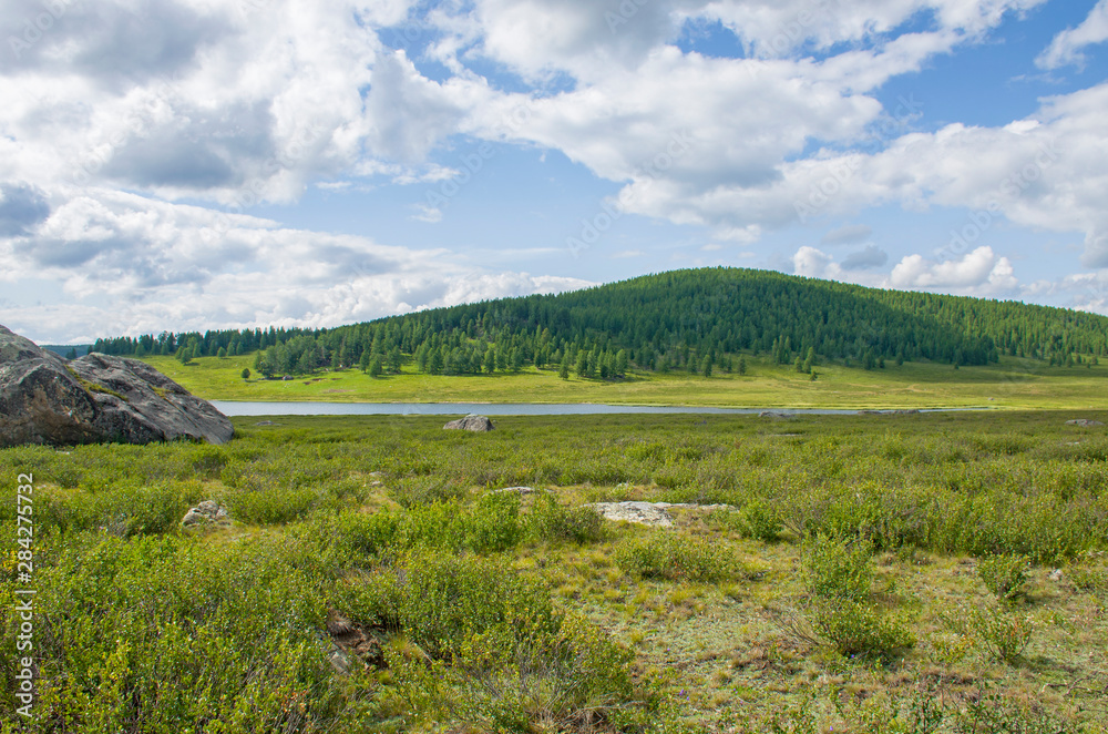 Landscape of taiga against the background of high mountains among lake Altai in Russia