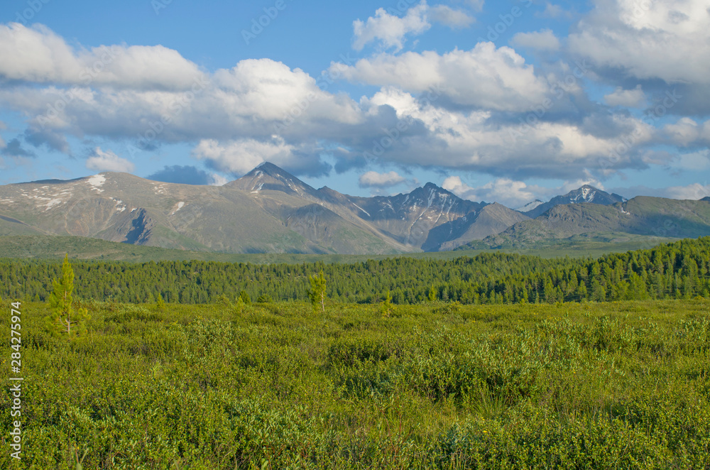 Landscape of taiga against the background of the high mountains of Altai in Russia Landscape of taiga against the background of the high mountains of Altai in Russia