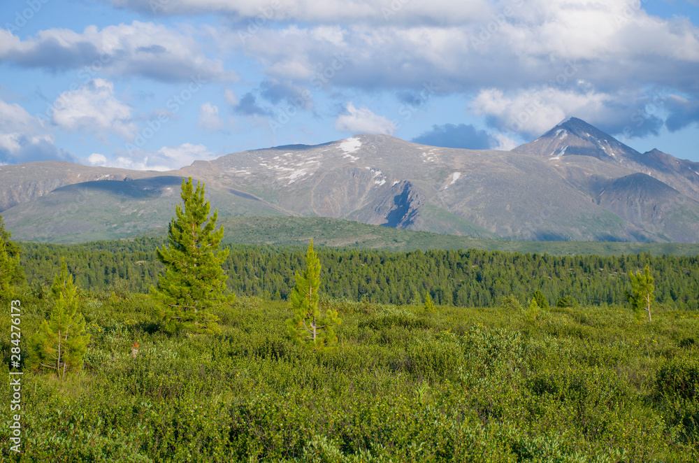 Landscape of taiga against the background of the high mountains of Altai in Russia