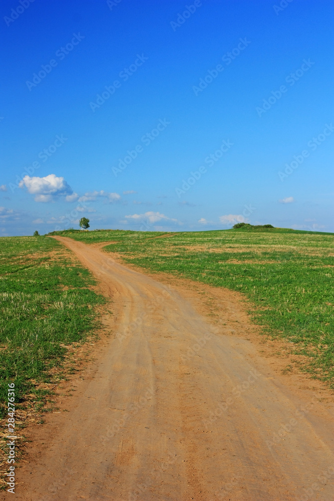 Country dirt road in the field