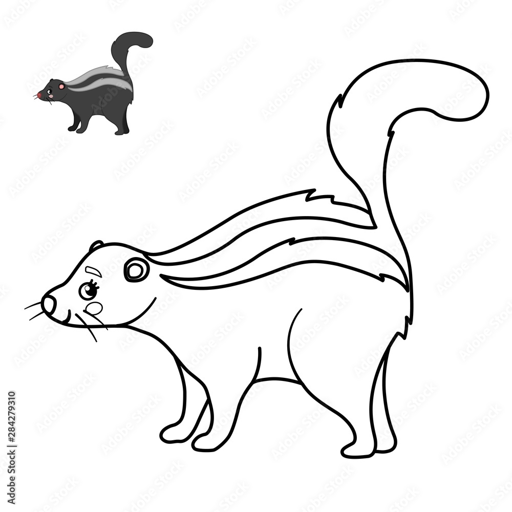 Coloring book for children. Forest animals. Cartoon cute skunk ...