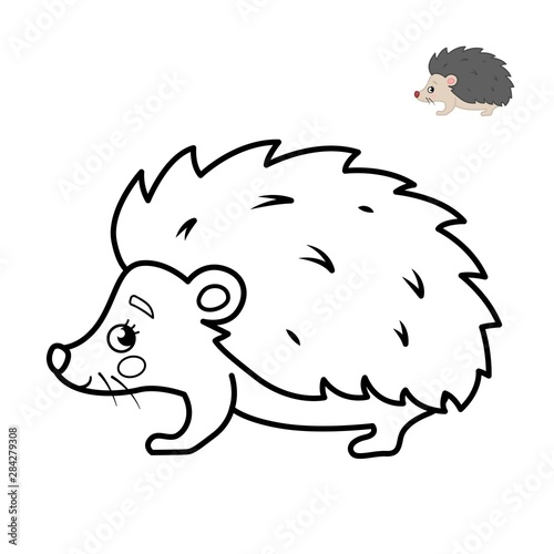 Coloring book for children. Forest animals. Cartoon cute hedgehog.