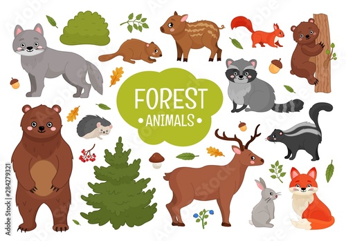 Fototapeta Naklejka Na Ścianę i Meble -  Vector set forest animals. Illustration of cartoon cute animals.