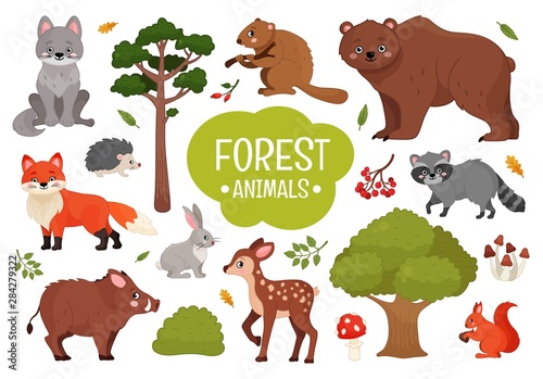 Vector set forest animals. Illustration of cartoon cute animals.