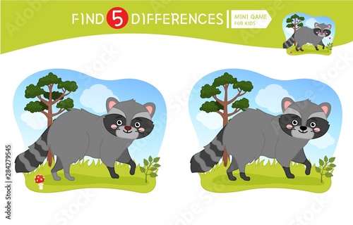 Find differences.  Educational game for children.  Forest animals. Cartoon vector illustration of cute raccoon.