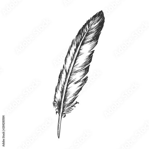 Decorative Bird Flying Element Feather Vector. Standing Feather Writer Ancient Retro Calligraphy Equipment. Natural Object Plume Template Designed In Vintage Style Black And White Illustration