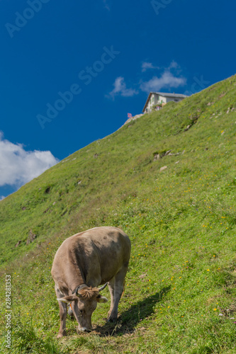 Schöne Erkundungstour durch die Appenzeller Berge in der Schweiz. - Appenzell/Alpstein/Schweiz photo