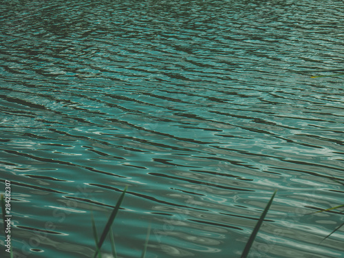 Naklejka Reflections on water