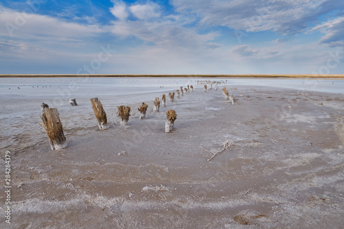 Salty lake shore