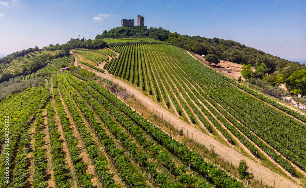 Luftaufnahme der Weinberge um Illasi in der Provinz Verona, Venetien, Italien Luftaufnahme der Weinberge um Illasi in der Provinz Verona, Venetien, Italien
