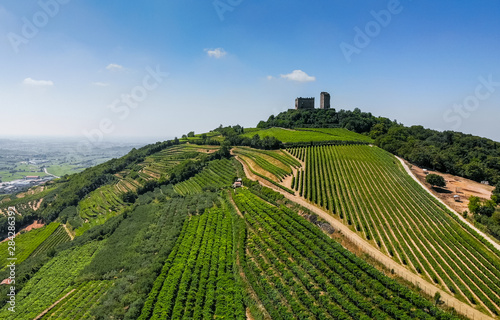 Luftaufnahme der Weinberge um Illasi in der Provinz Verona, Venetien, Italien