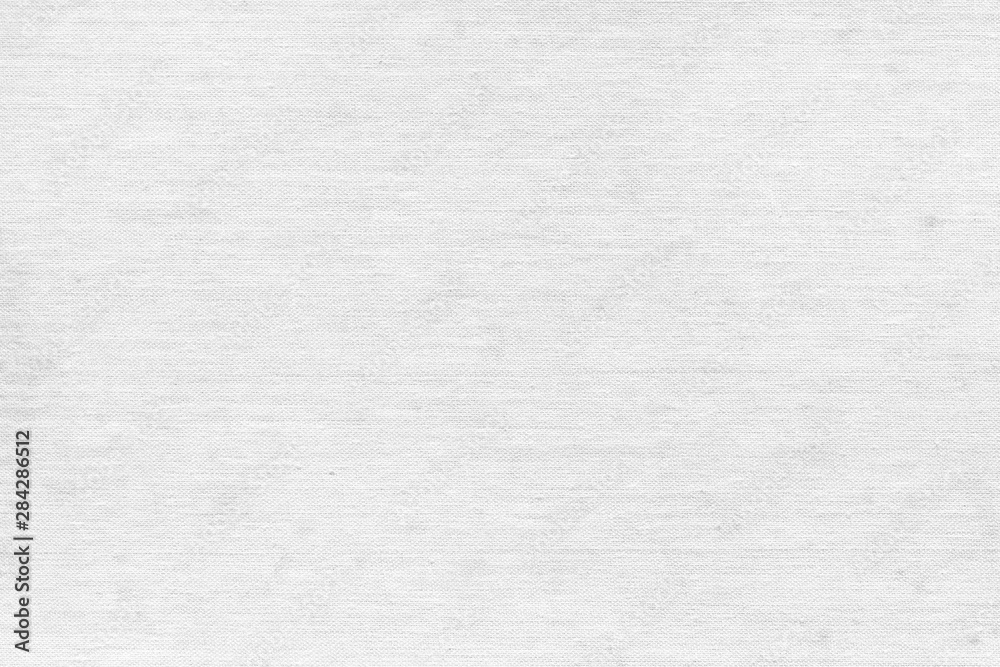 Cardboard white texture close-up. Light old paper background. Grunge concrete wall. Vintage blank wallpaper. Cardboard white texture close-up. Light old paper background. Grunge concrete wall. Vintage blank wallpaper.