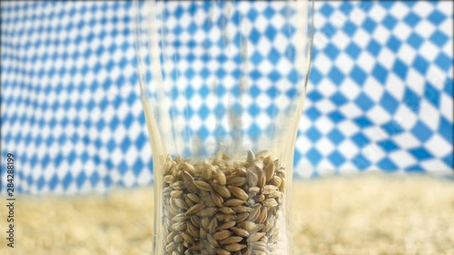 Closeup part of a glass beer glass into which a high-quality selected malt is grown grown in an ecologically clean area, a video against a field and the Bovarian German flag, a beer festival photo