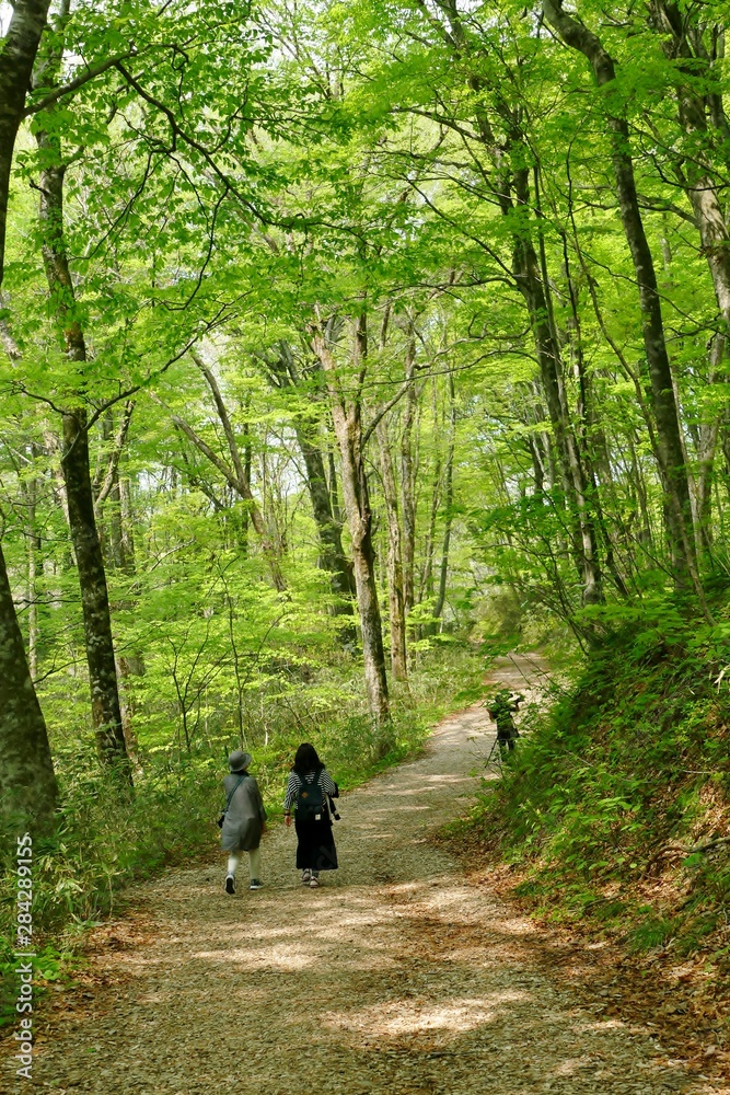 《十二湖の四季》青森県深浦町 《十二湖の四季》青森県深浦町