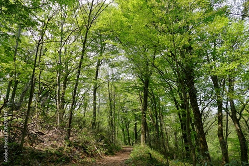 《十二湖の四季》青森県深浦町