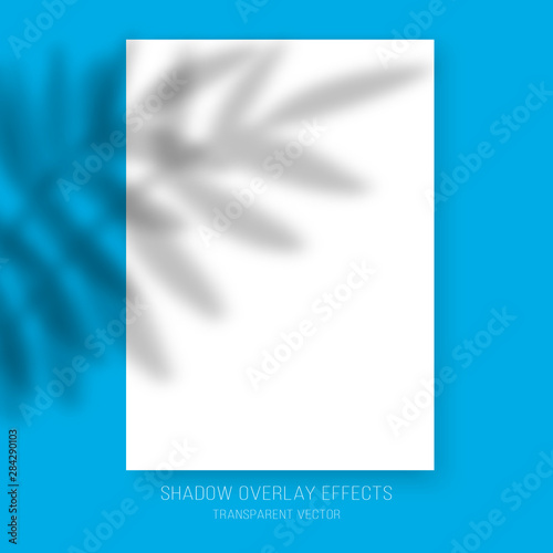 Fototapeta Naklejka Na Ścianę i Meble -  Shadow overlay effects transparent vector