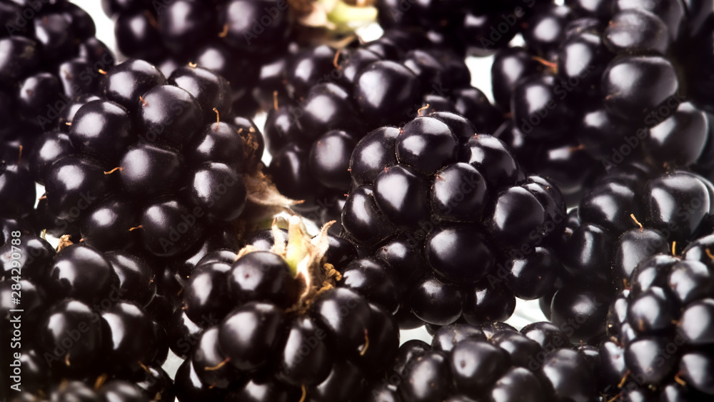 studio macro photo of blackberry for background studio macro photo of blackberry for background