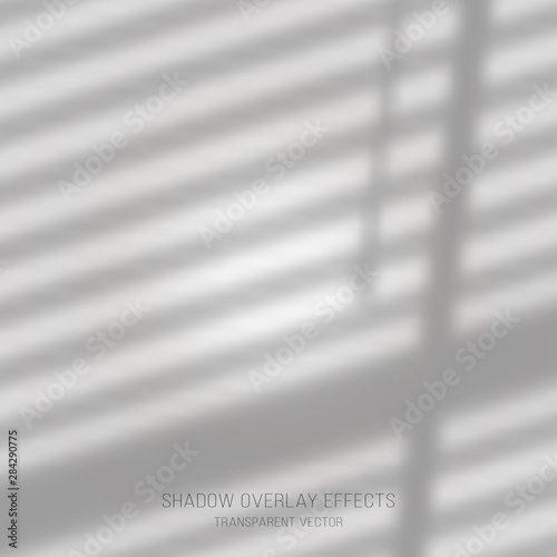 Shadow overlay effects transparent vector