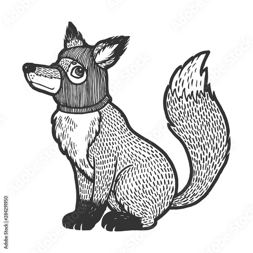 Fox in hat balaclava sketch engraving vector illustration. Scratch board style imitation. Black and white hand drawn image.