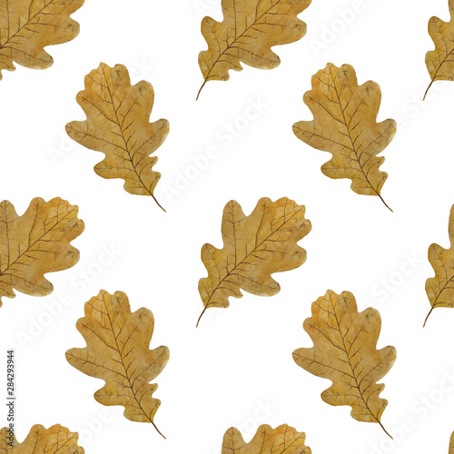 Pattern Autumn oak leaves Illustrations Watercolor Botanical Digital paper Textile Autumn fall decor Wallpaper Scrapbooking