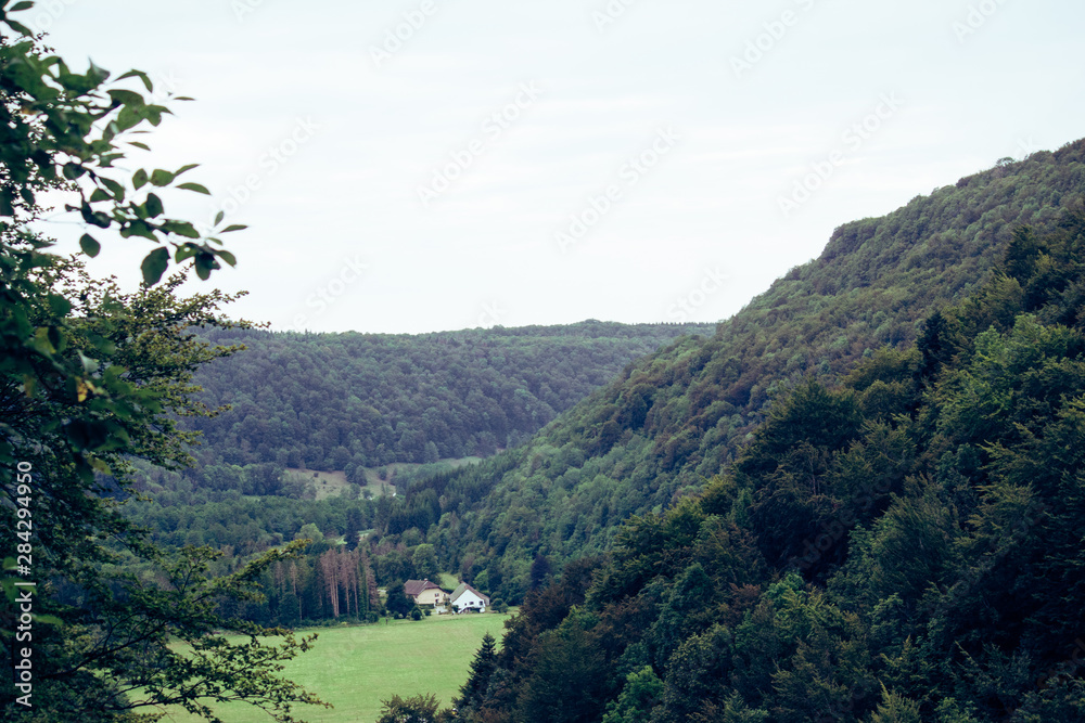 Landscape in Jura
