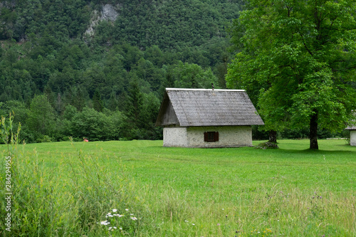 old wooden house in a field