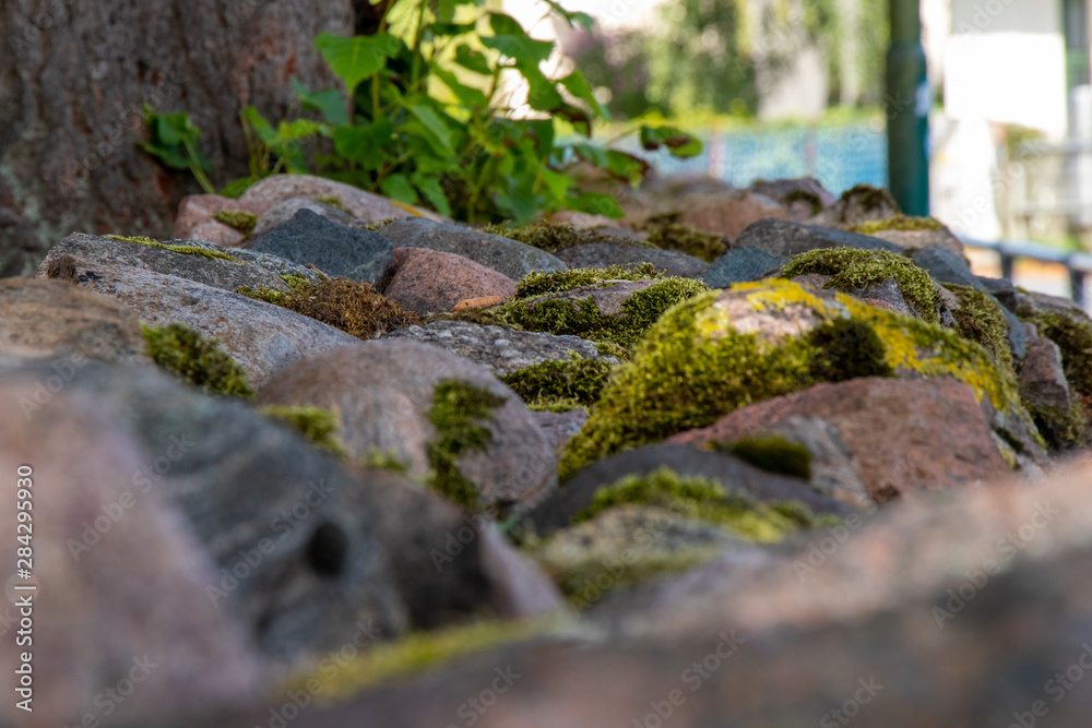 stone wall with moss