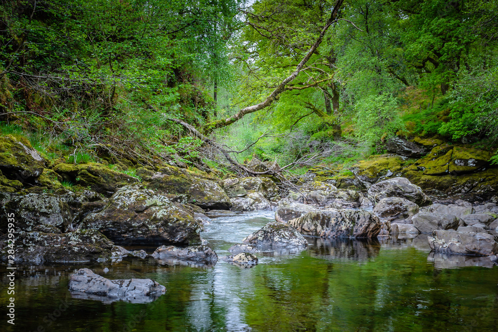 Obraz premium Beautiful landscape of Scotland ,UK.Stream with rocks and fallen tree in forest.