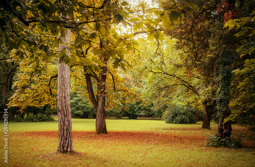 Photo of an autumn park