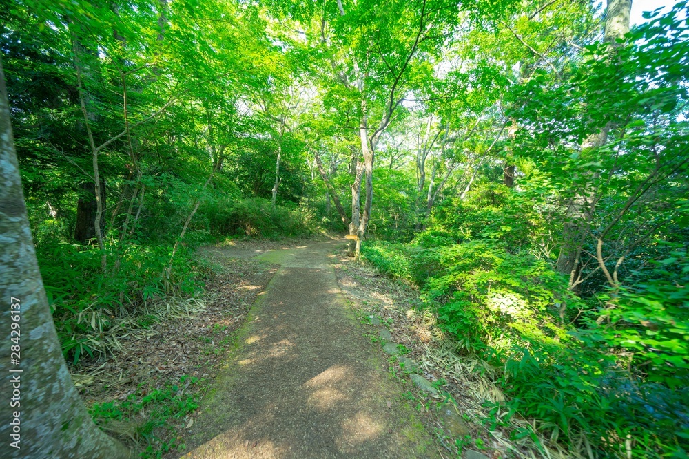 Fototapeta premium 福浦橋の景色