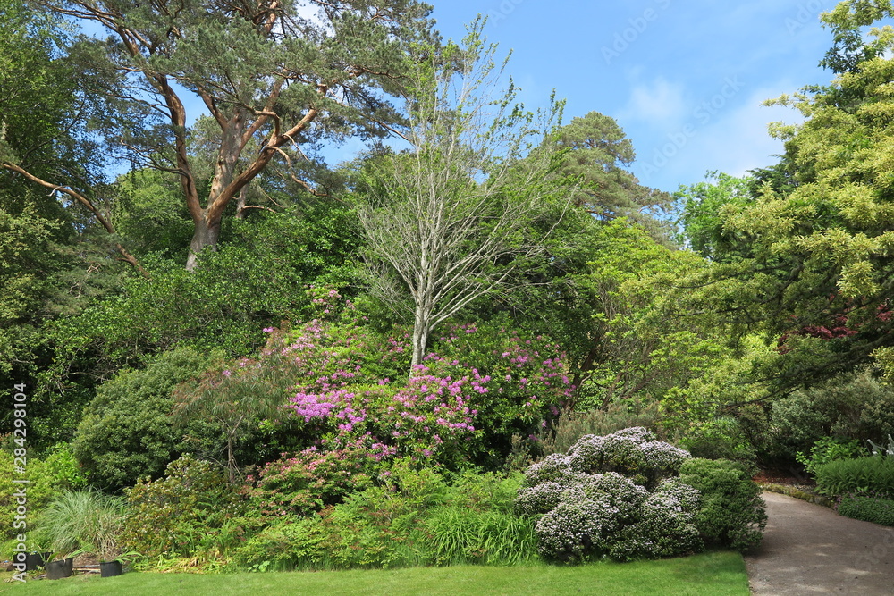 Inverewe Garden in Poolewe, Schottland Inverewe Garden in Poolewe, Schottland