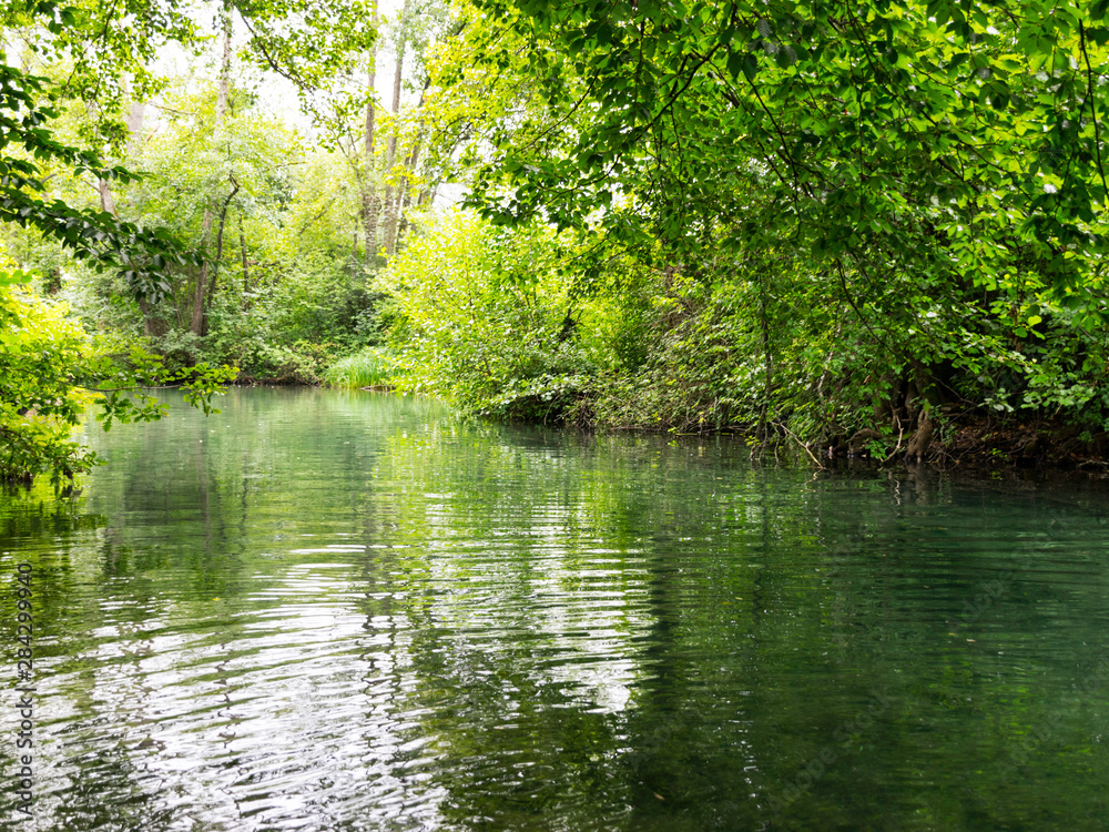 very green river and green forest, rainy summer day very green river and green forest, rainy summer day