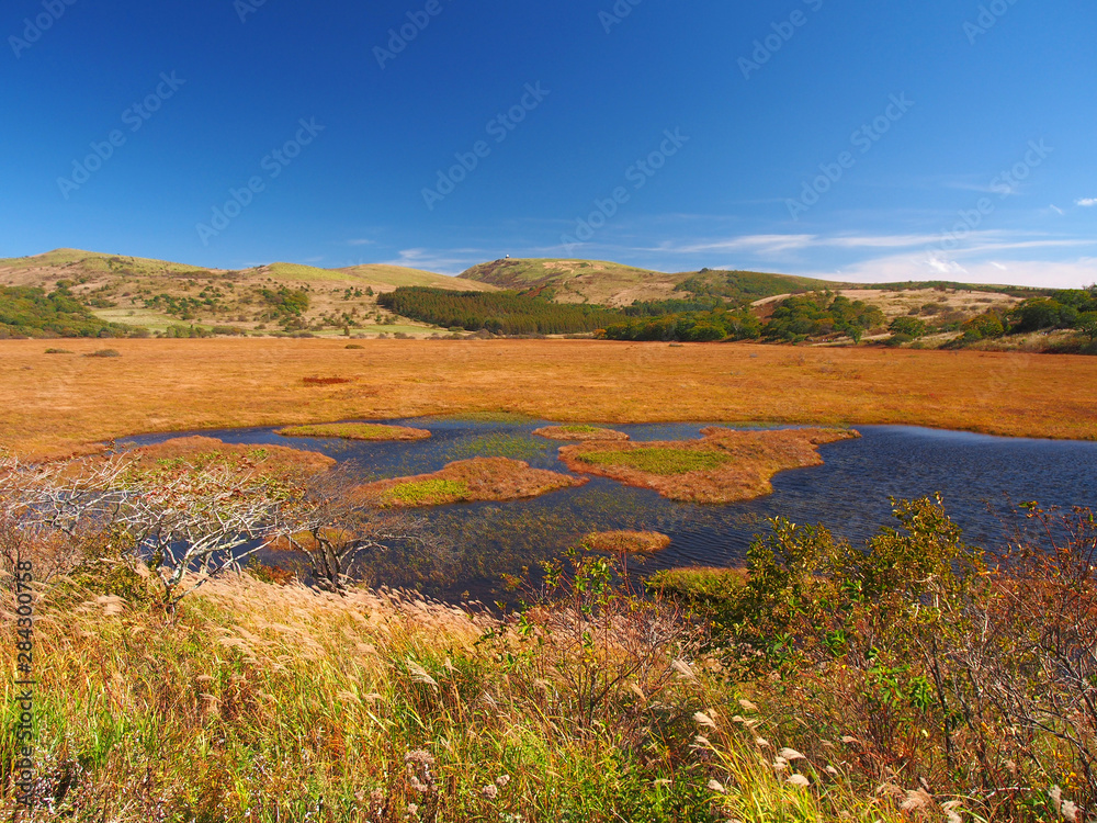 秋の湿原と青い池【霧ヶ峰・八島湿原】