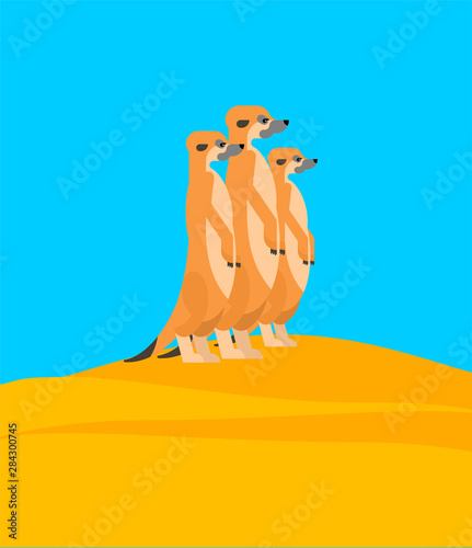 Meerkats family on hill. Small mongoose. vector illustration