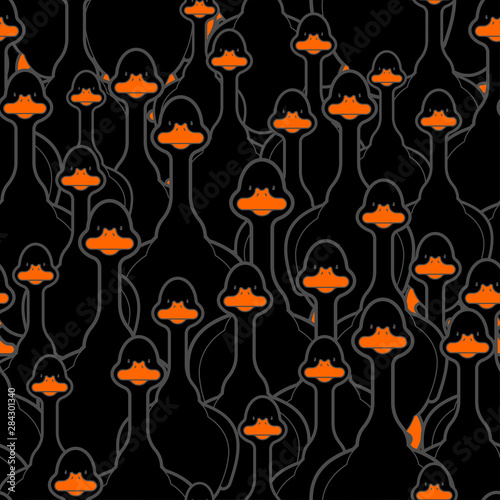 Fototapeta Naklejka Na Ścianę i Meble -  Black goose pattern seamless. Domestic waterfowl background. vector texture