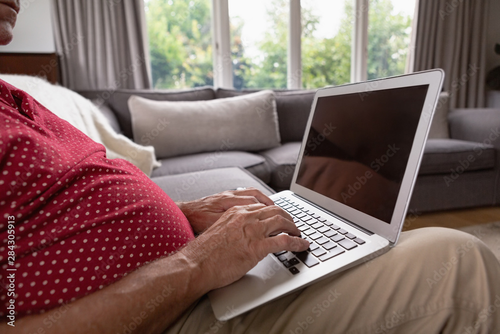 Fototapeta premium Active senior man using laptop on sofa in a comfortable home