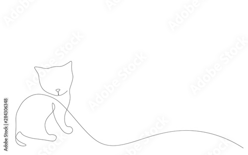 Kitten on white background vector illustration