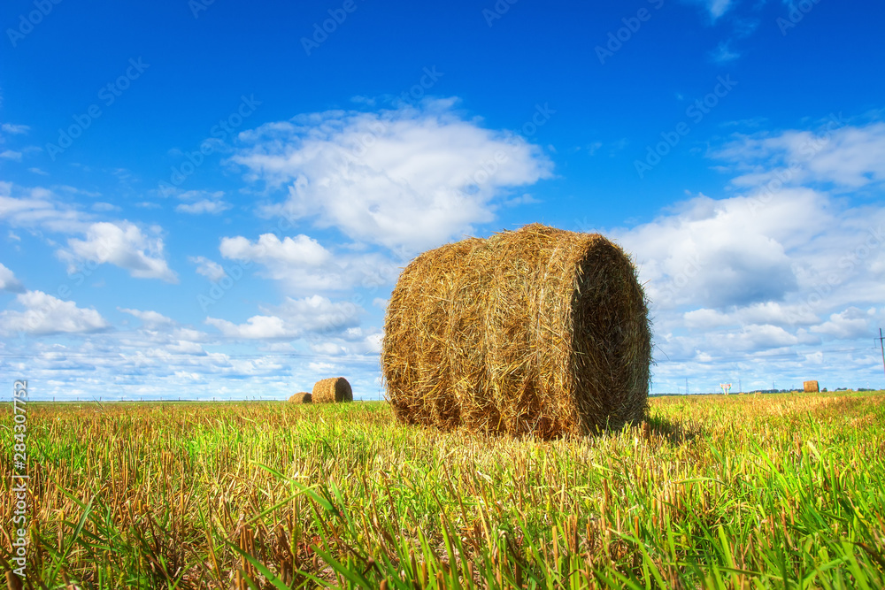 Straw bale on agriculture field after harvesting. Golden field on bright day. Agricultural landscape Straw bale on agriculture field after harvesting. Golden field on bright day. Agricultural landscape